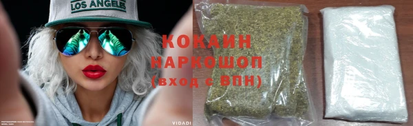 твердый Дмитриев
