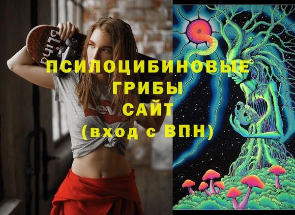 mdma Дмитровск
