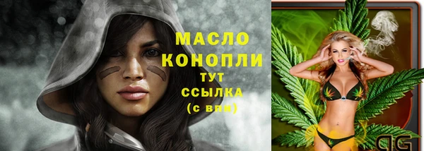твердый Дмитриев